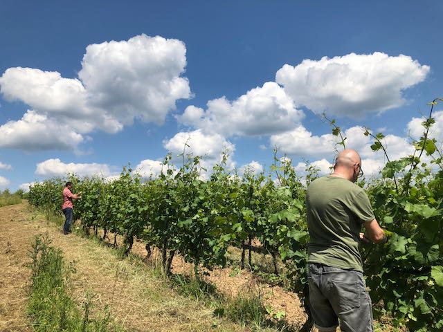 Weingut werk2 - Hattenheim