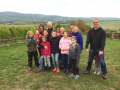 Weinlese Rheingau 2015 Weingut werk2