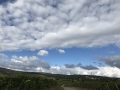 Weinberge in Hattenheim - Rheingau