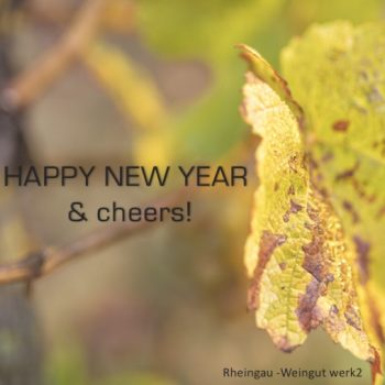 Rheingau - Weingut werk2